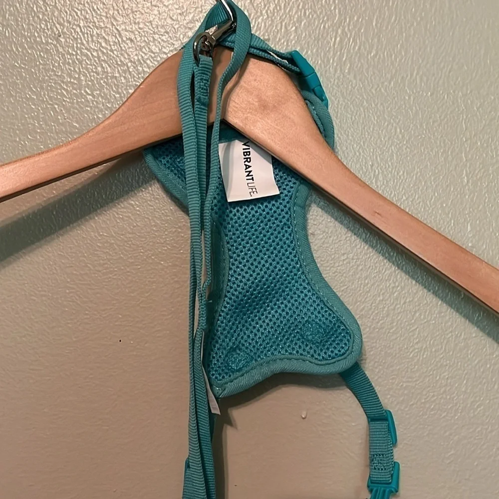 Vibrant Life Cat Harness/Leash/Collar color is blue